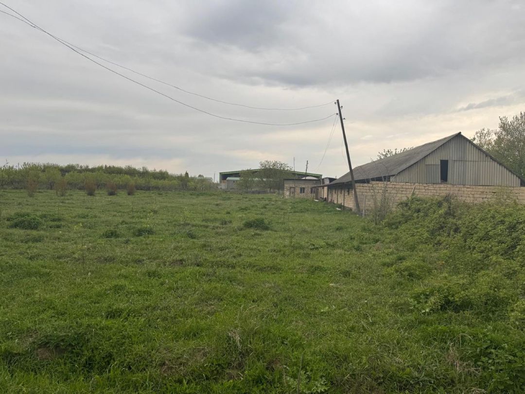 50 sot torpaq sahəsi, Tovuz rayonu — Torpaq, Tovuz (6)