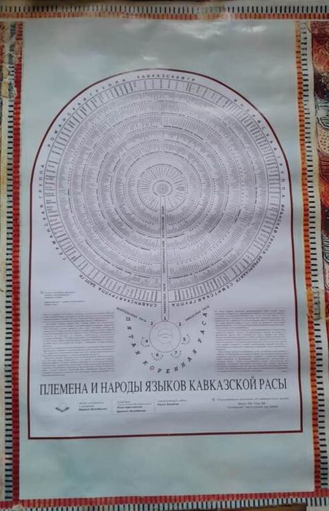 Плакат "Племена и народы языков кавказской расы" — Bakı