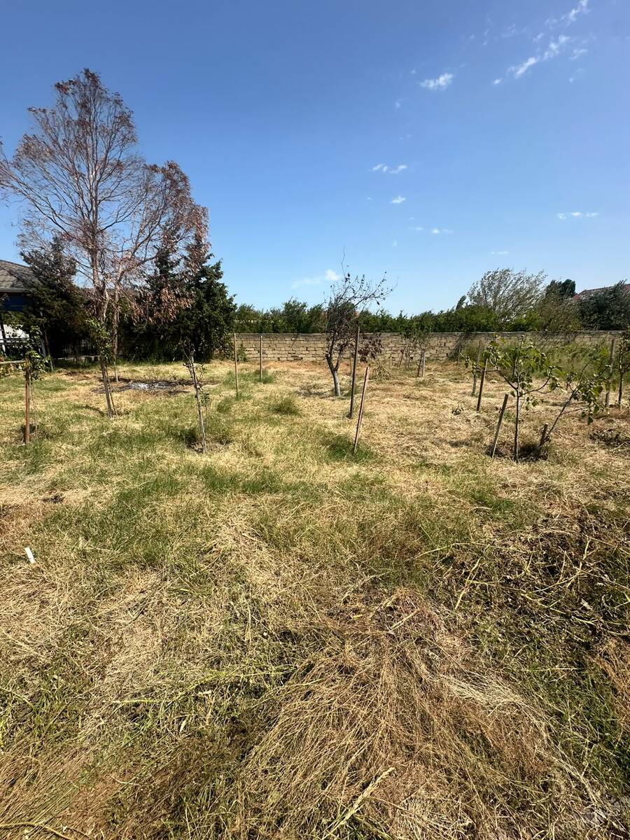 3 sot torpaq sahəsi, Novxanı bağları — Torpaq, Bakı (3)