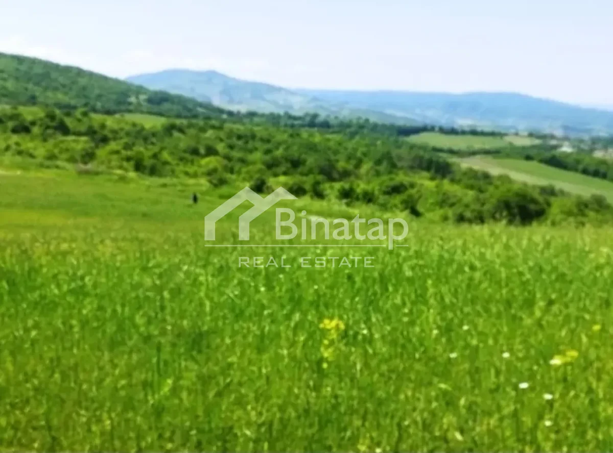 Satılır torpaq 524 sot, Quba rayonu — Torpaq, Bakı (4)