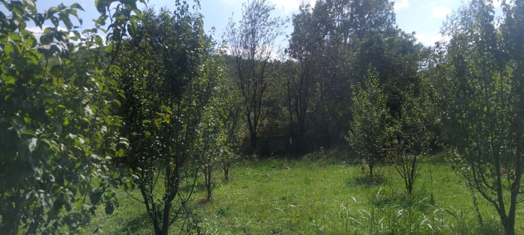8 sot torpaq sahəsi, 2-ci Nügədi kəndi — Torpaq, Quba (7)