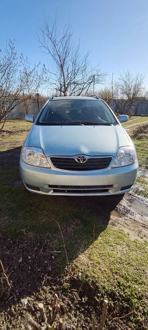 Toyota Corolla, 2005 il — Qəbələ