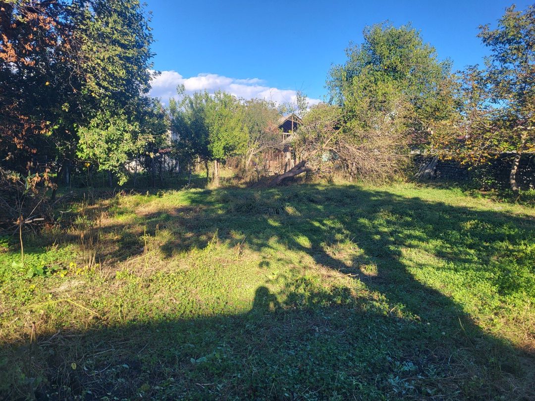 Satılır 7 otaqlı həyət evi/bağ evi 220 m² — Ev, villa, Zaqatala (7)