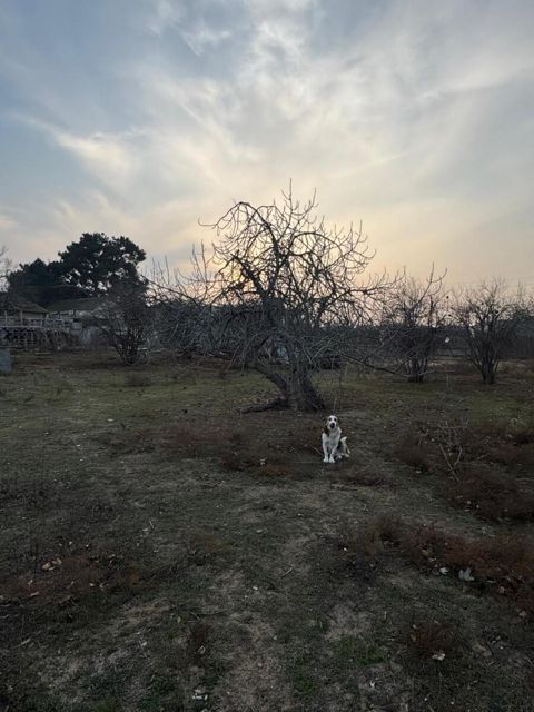 Satılır torpaq 32 sot — Bakı