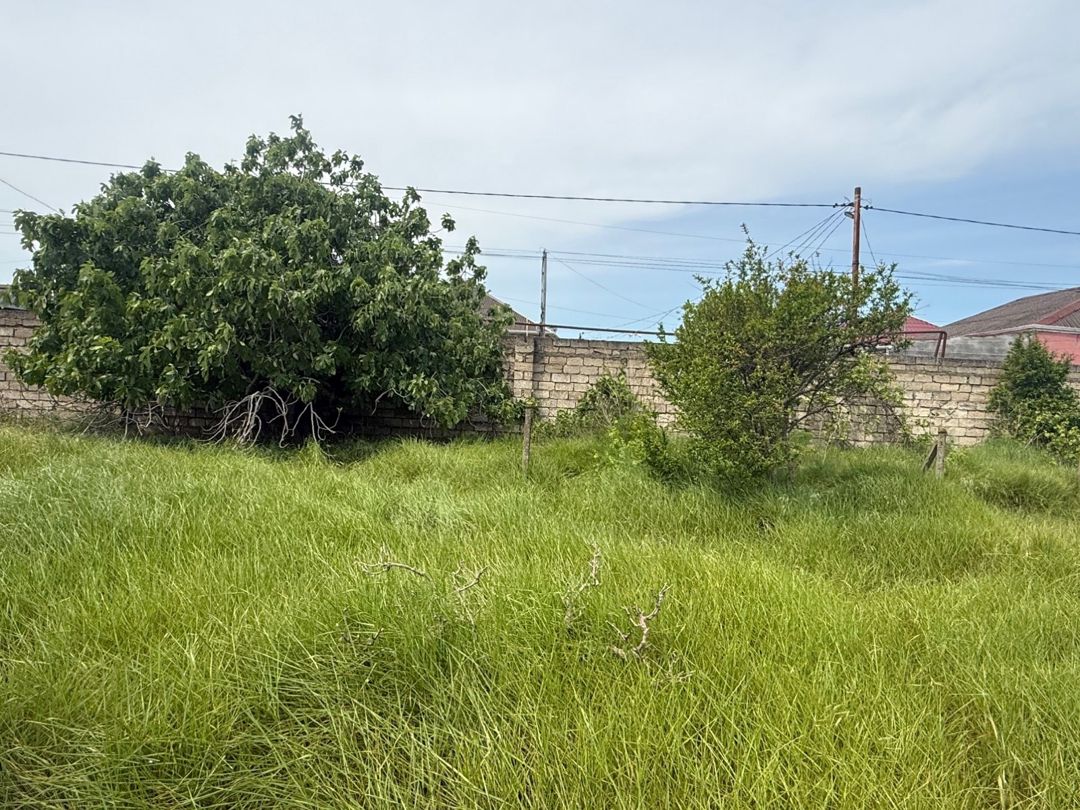 14 sot torpaq sahəsi, Albalı qəs — Torpaq, Bakı (5)