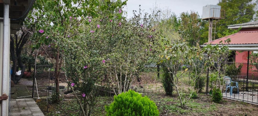Həyət evi, Lənkəran ş — Ev, villa, Lənkəran (2)
