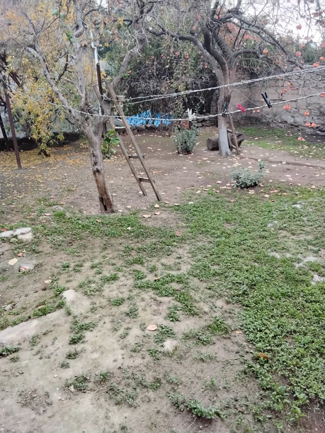 Satılır 4 otaqlı həyət evi/bağ evi 70 m² — Ev, villa, Bakı (11)