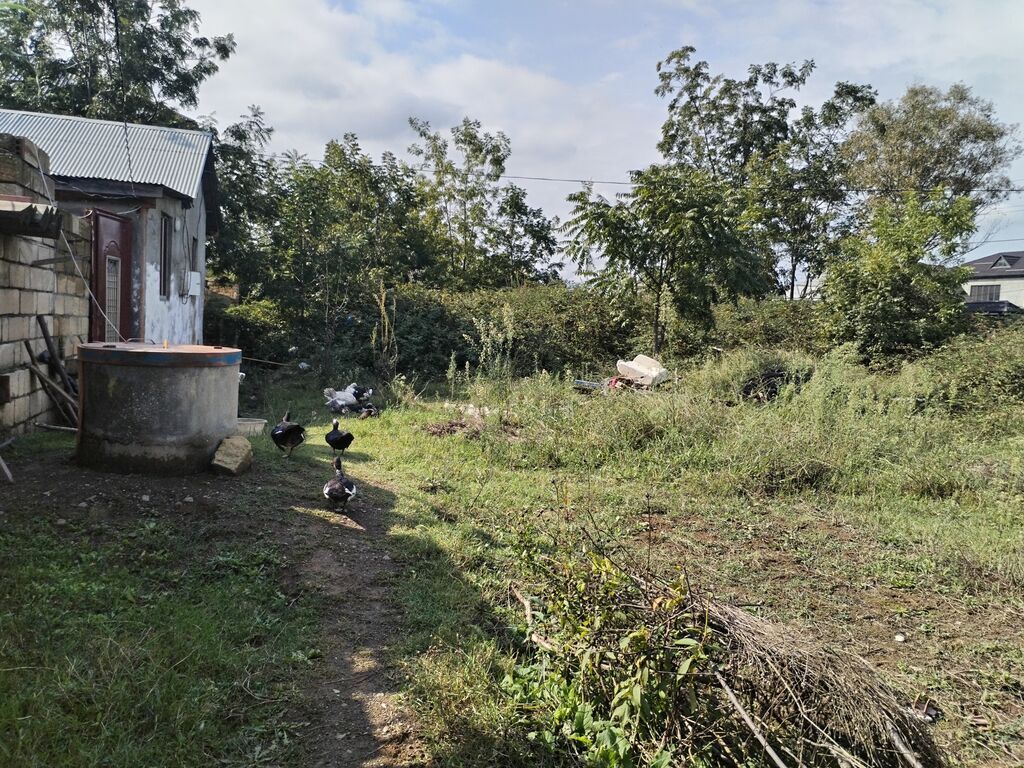 37 kv. m, 3 otaqlı, Qaz, İşıq, Su — Ev, villa, Lənkəran (6)