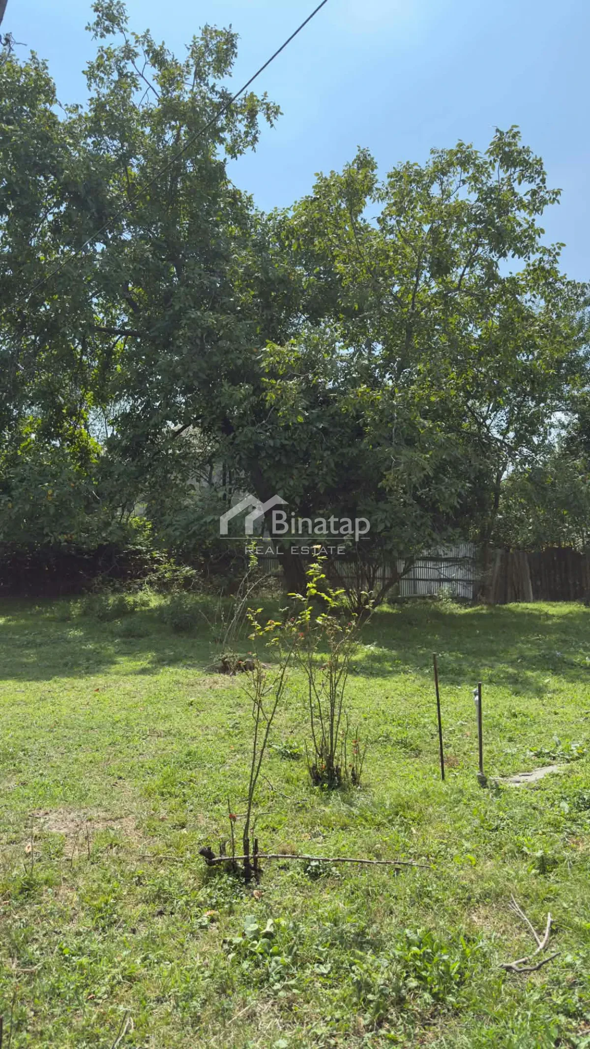 Satılır 3 otaqlı həyət evi / bağ evi 100 m², Qax rayonu — Ev, villa, Bakı (3)