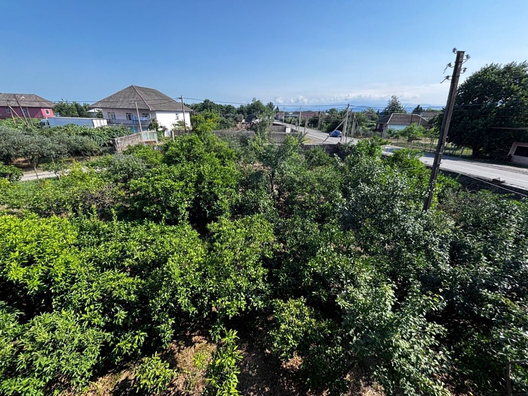 6 sot torpaq sahəsi, Astara r — Torpaq, Astara (2)