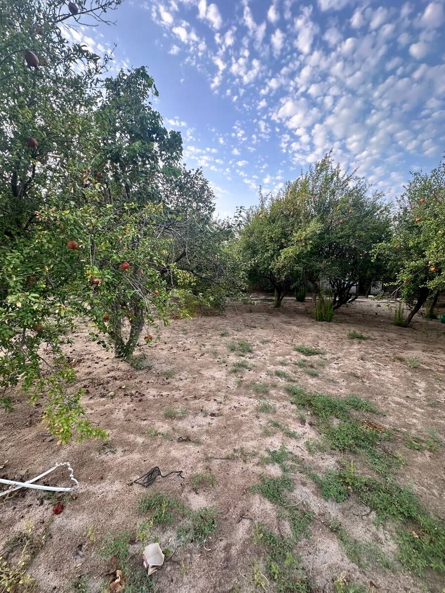 Satılır torpaq 4 sot — Torpaq, Bakı (4)