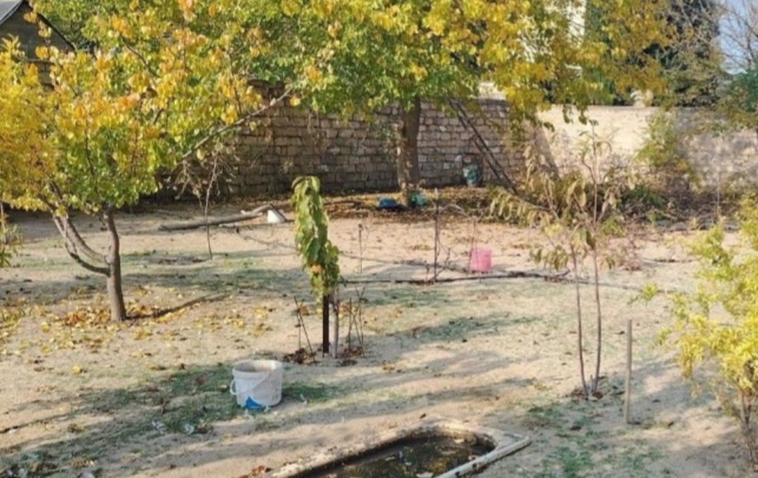 6 sot torpaq sahəsi, Şəki ş — Torpaq, Şəki