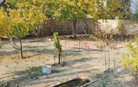 6 sot torpaq sahəsi, Şəki ş — Şəki