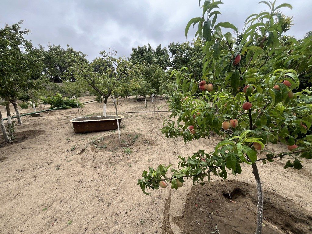 Satılır torpaq 24 sot — Torpaq, Bakı (5)