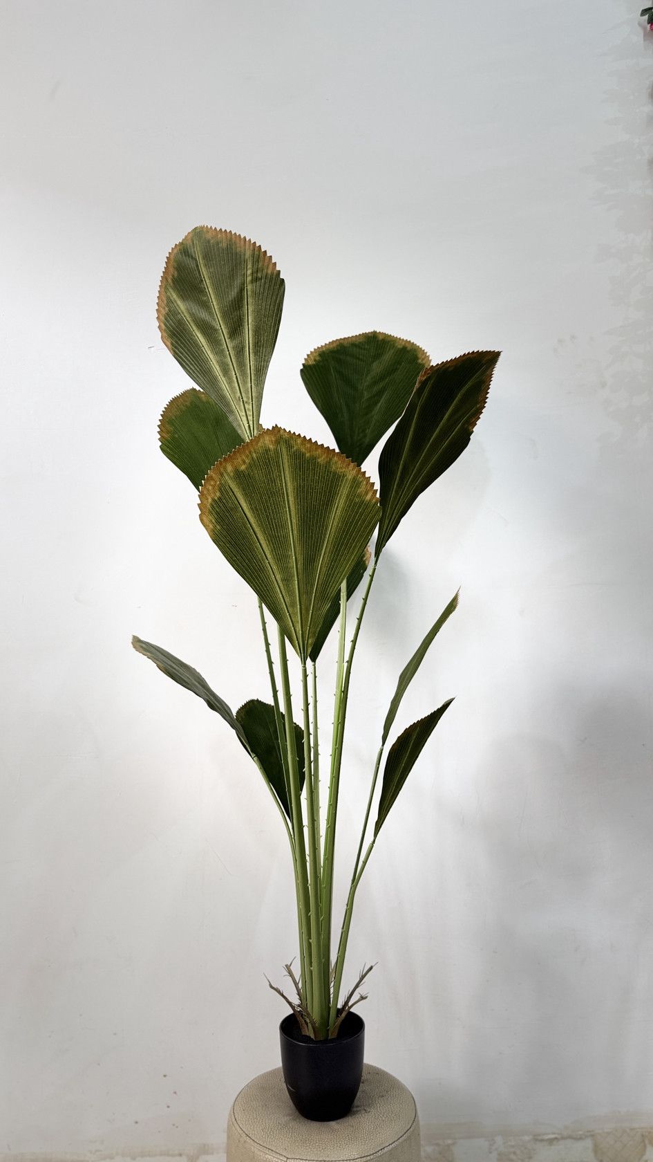 Süni bitki 6357, plastik, yaşıl, 170 sm — Mallar, Bakı