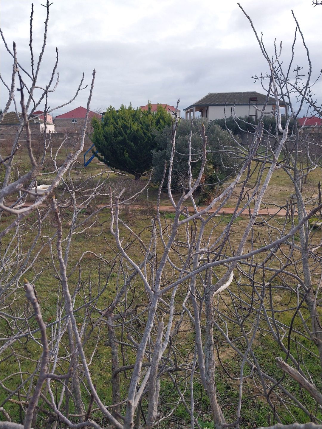Satılır torpaq 12 sot — Torpaq, Bakı (5)