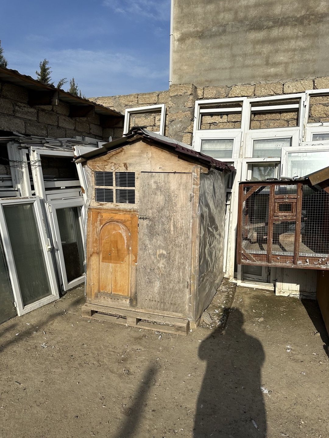 Quş yuvası — Heyvan malları, Bakı (2)