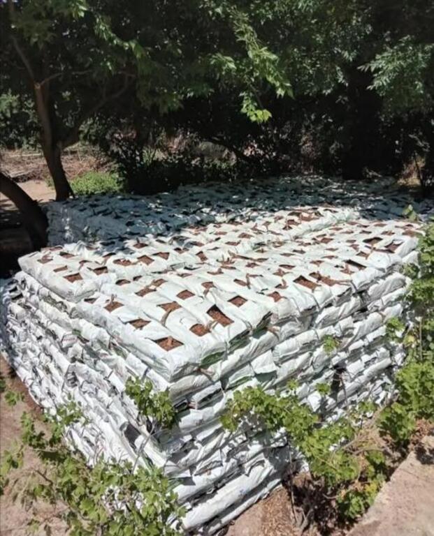 Kakabitlər — Dacha və bağ, Bakı (4)