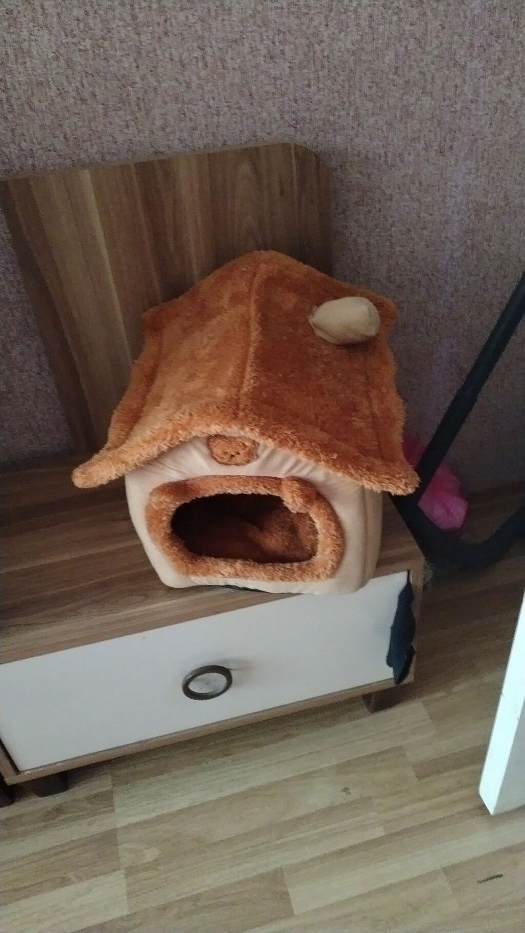 Pişik/kiçik it üçün yumşaq ev - Material: yumşaq plyuş və parça, iç — Kunalar, Mehdiabad (2)