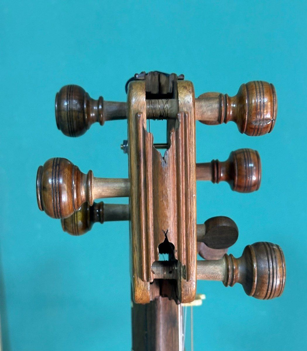 Tar — Musiqiə alətləri, Bakı (8)