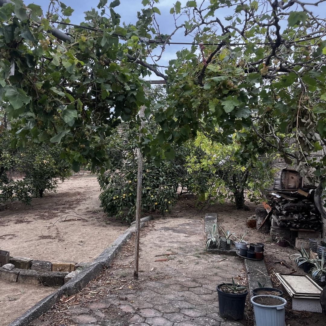 Satılır torpaq 12 sot — Torpaq, Bakı (6)