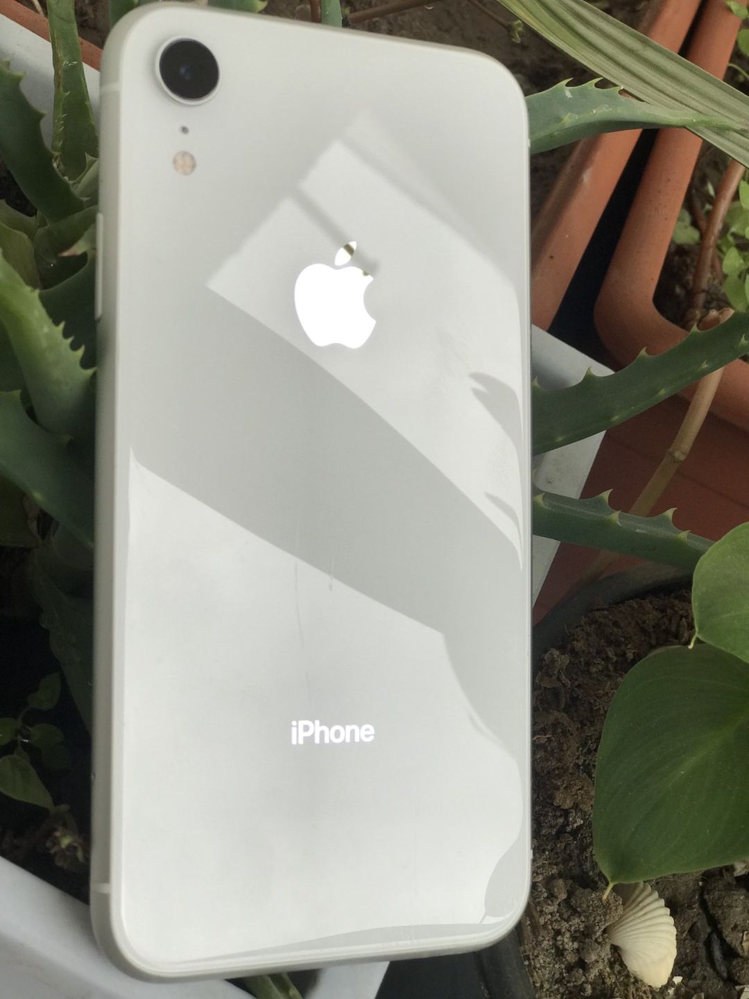 Apple iPhone XR White 256GB/3GB — Smartfonlar, Bakı (6)