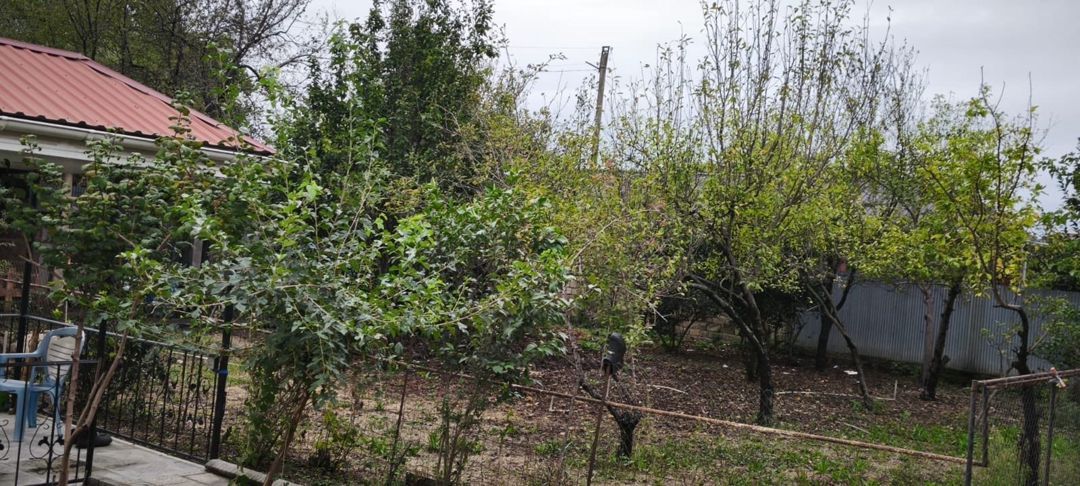 Həyət evi, Lənkəran ş — Ev, villa, Lənkəran (4)