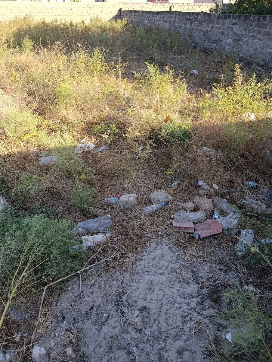 Satılır torpaq 6 sot — Torpaq, Bakı (2)