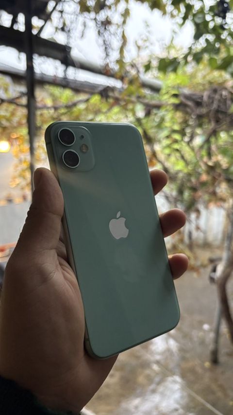 IPhone 11, Yaşıl, Face ID — Bakı