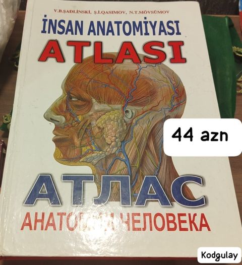 Tədris üçün anatomiya və histologiya kitabları 1) İnsan Anatomiyası — Gəncə