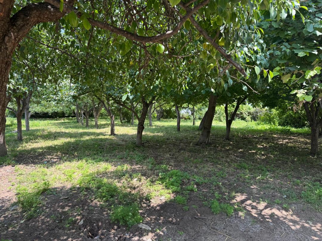 3 otaqlı kottec, 58.8 m², Koroğlu küç — Ev, villa, Gəncə (5)