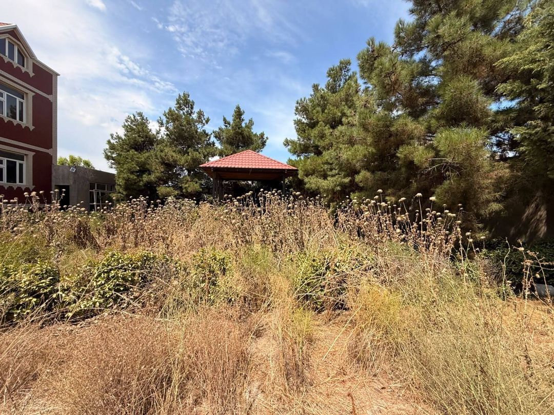 Satılır torpaq 12 sot — Torpaq, Bakı (6)