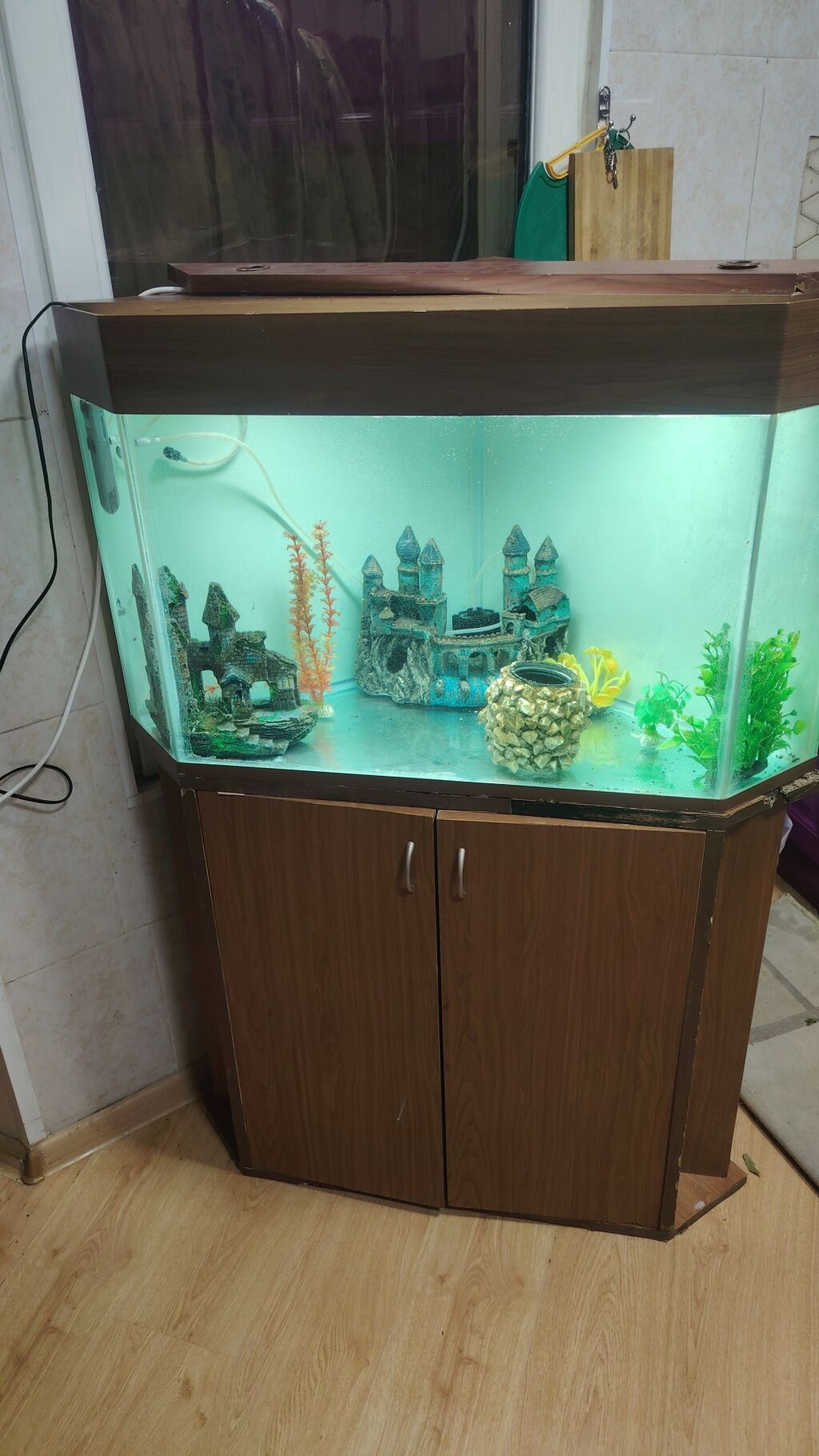 Üçbucaq akvarium, Boş, 200 l, Ünvandan götürmə — Akvariumlar və balıqlar, Bakı (2)