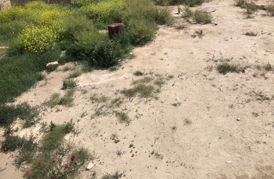 4 sot torpaq sahəsi, Qobu qəs — Torpaq, Bakı (2)