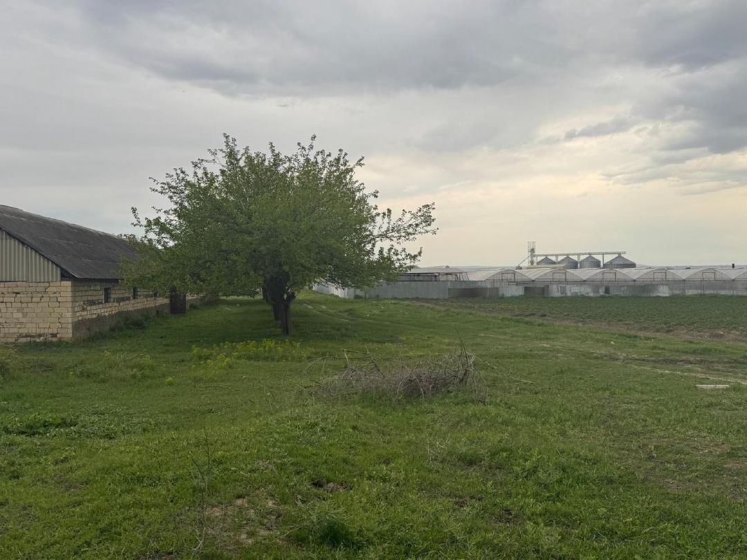 50 sot torpaq sahəsi, Tovuz rayonu — Torpaq, Tovuz (3)
