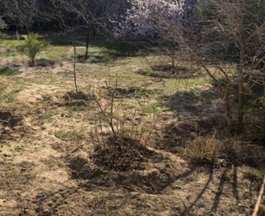 6 sot torpaq sahəsi, Şəki ş — Torpaq, Şəki (2)