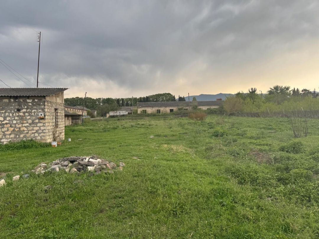 50 sot torpaq sahəsi, Tovuz rayonu — Torpaq, Tovuz (11)
