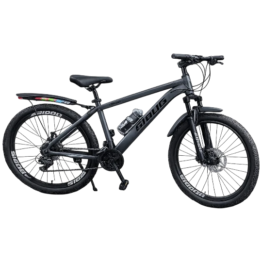 Velosiped Sibog 29-226 — Bakı