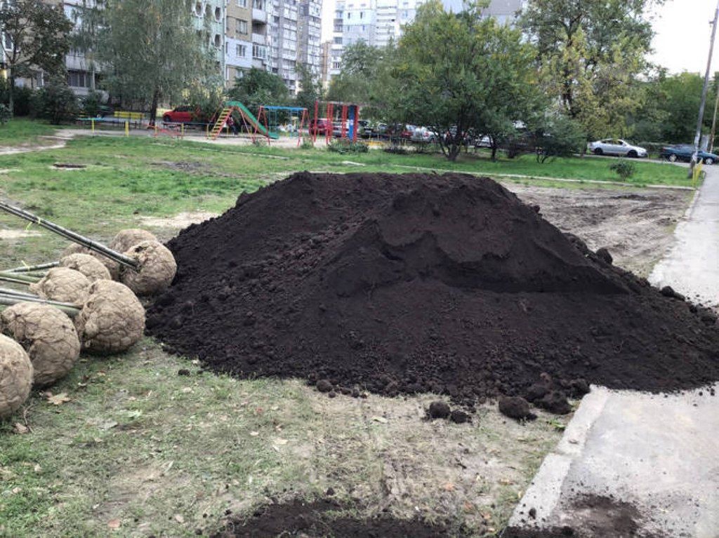 Qara torpaq və peyin — Dacha və bağ, İsmayıllı (8)