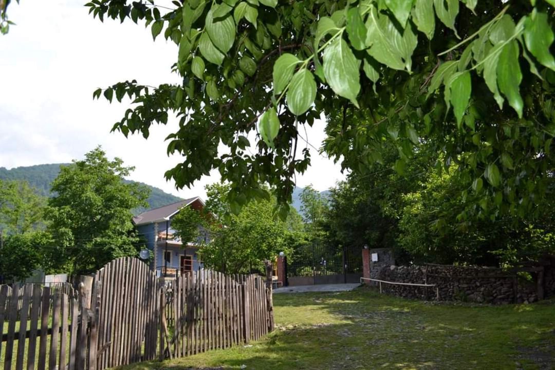 Villa kirayə verilir, Zaqatala ş — Ev, villa, Zaqatala (6)