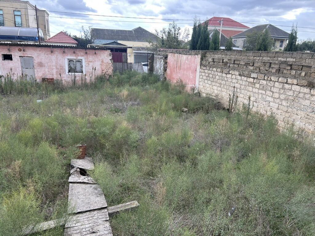 6 sot, Tikinti, Kupça (Çıxarış) — Torpaq, Digah (10)