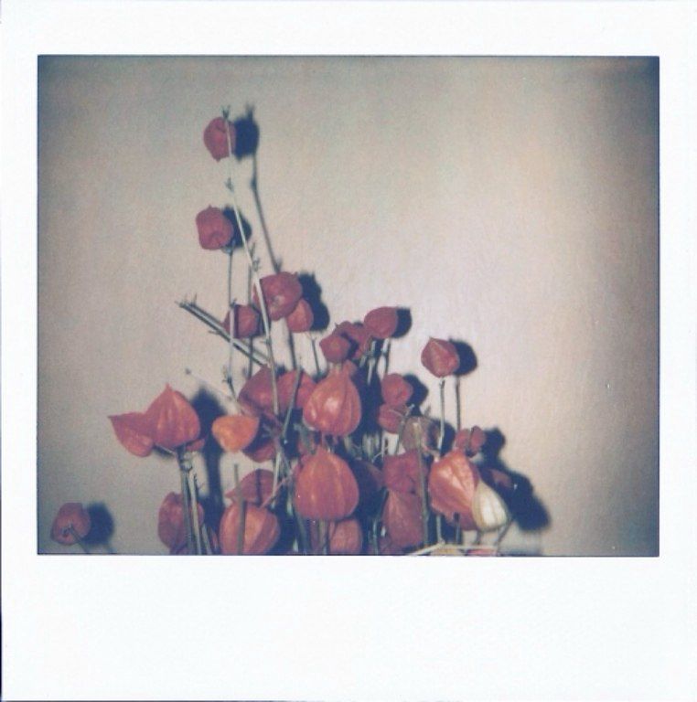 Fotoaparat "Polaroid Image 2" — Foto və video texnikası, Bakı (8)