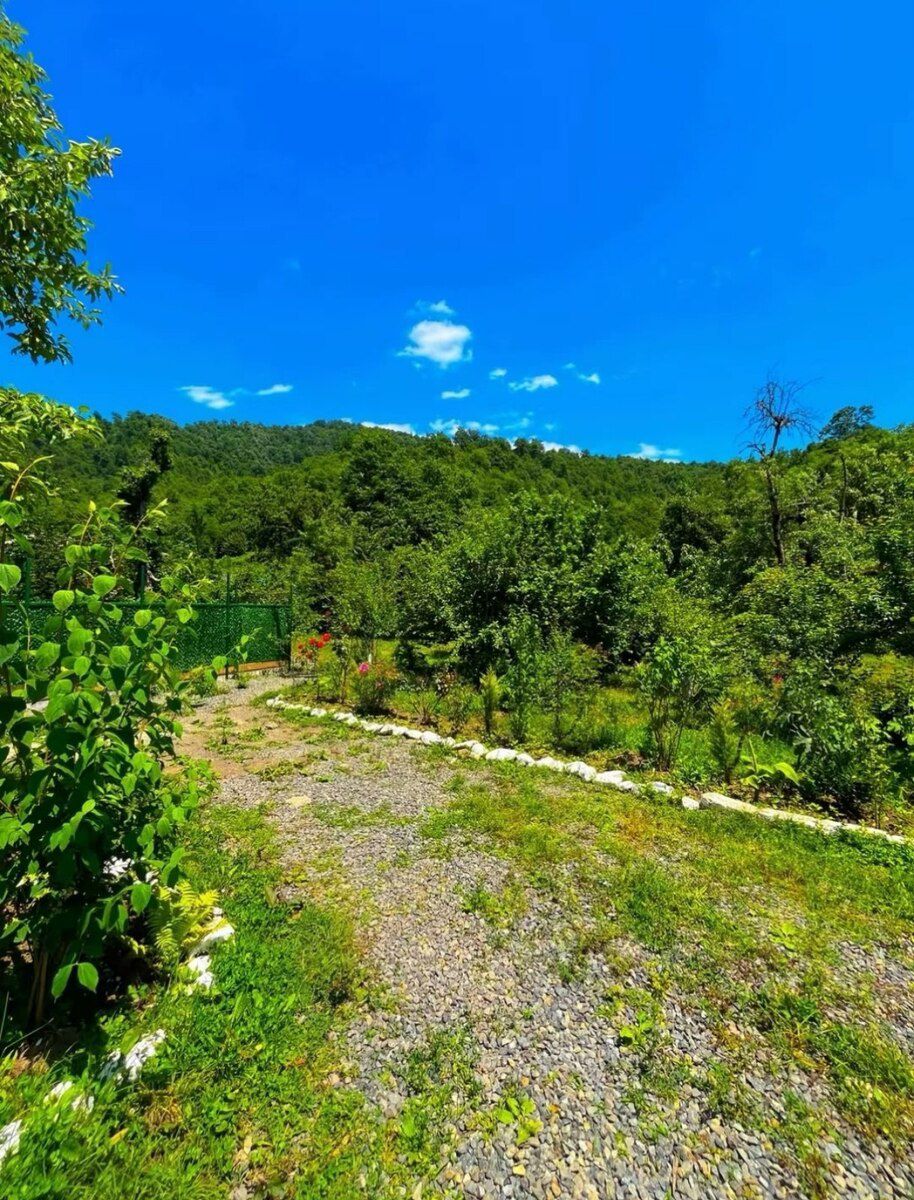Bağ evi kirayə verilir, Lerik r — Ev, villa, Lerik (5)