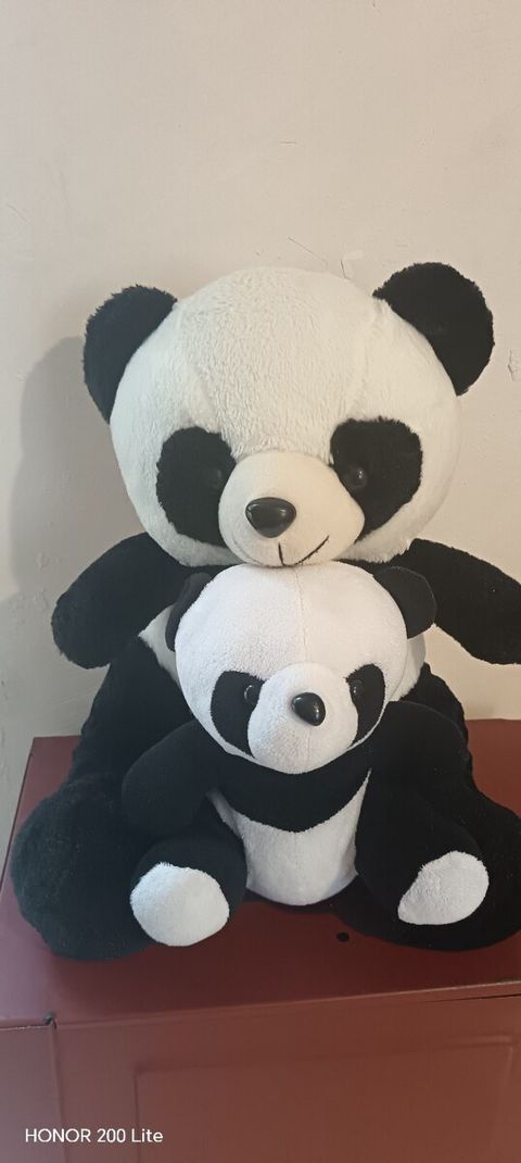 Panda oyuncaq — Sumqayıt