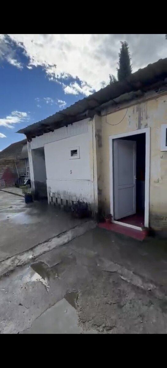 Həyət evi kirayə verilir, Şəki ş — Ev, villa, Şəki (2)