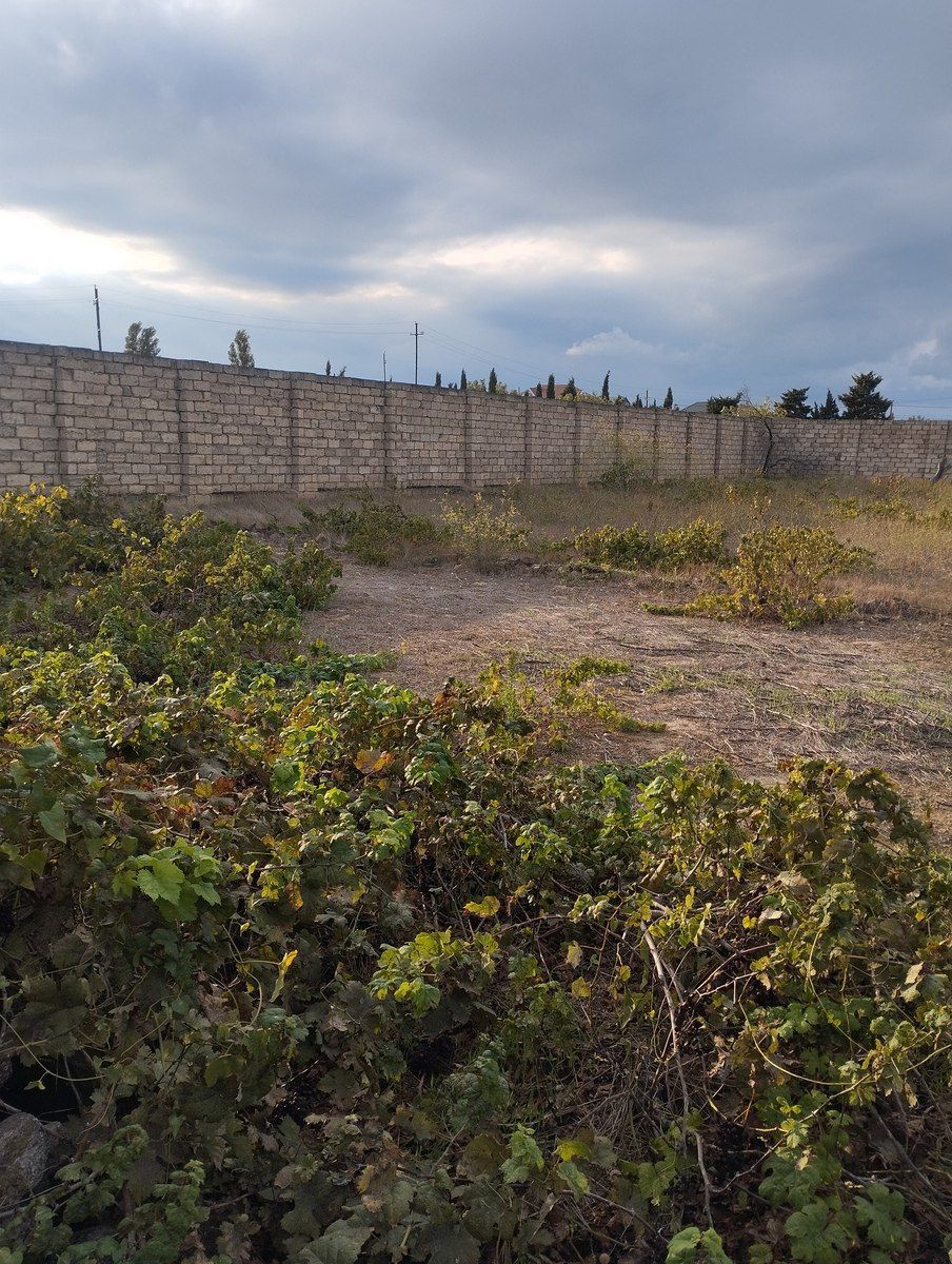 Satılır torpaq 25 sot — Torpaq, Bakı (3)