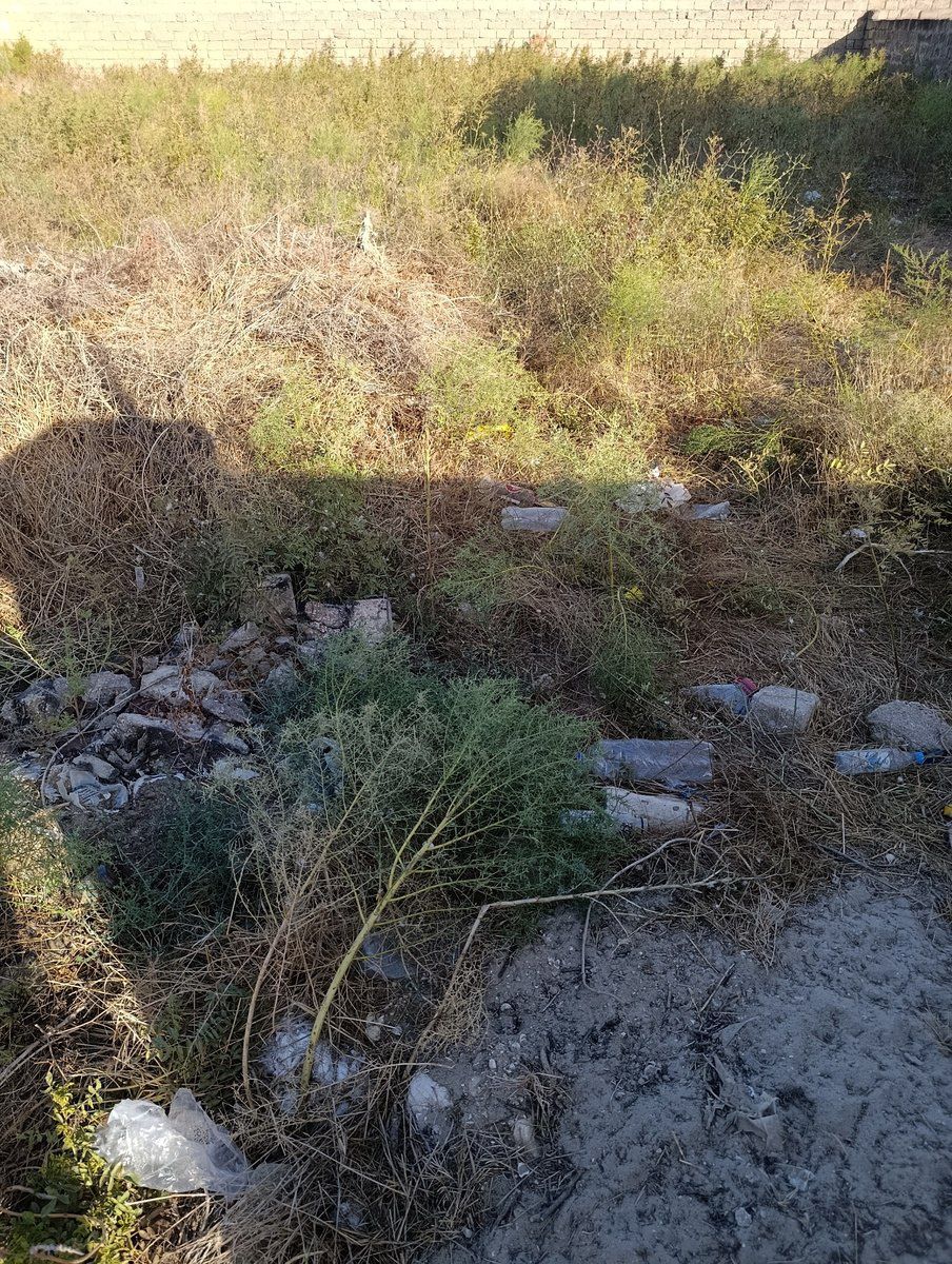 Satılır torpaq 6 sot — Torpaq, Bakı (4)