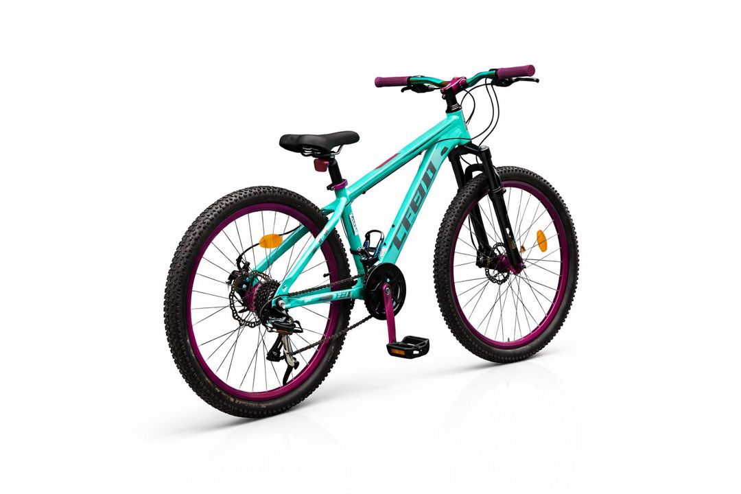 Şəhər velosipedi Scoot bm999, açıq yaşıl/bənövşəyi, 26" — Velosipedlər, Bakı (2)