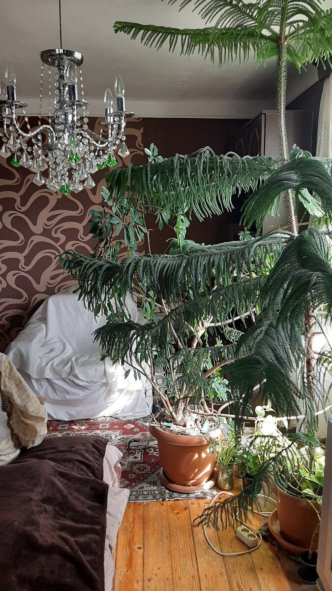 1-otaqlı mənzil, Neftçilər m., 40 m² — Mənzil, Bakı (4)