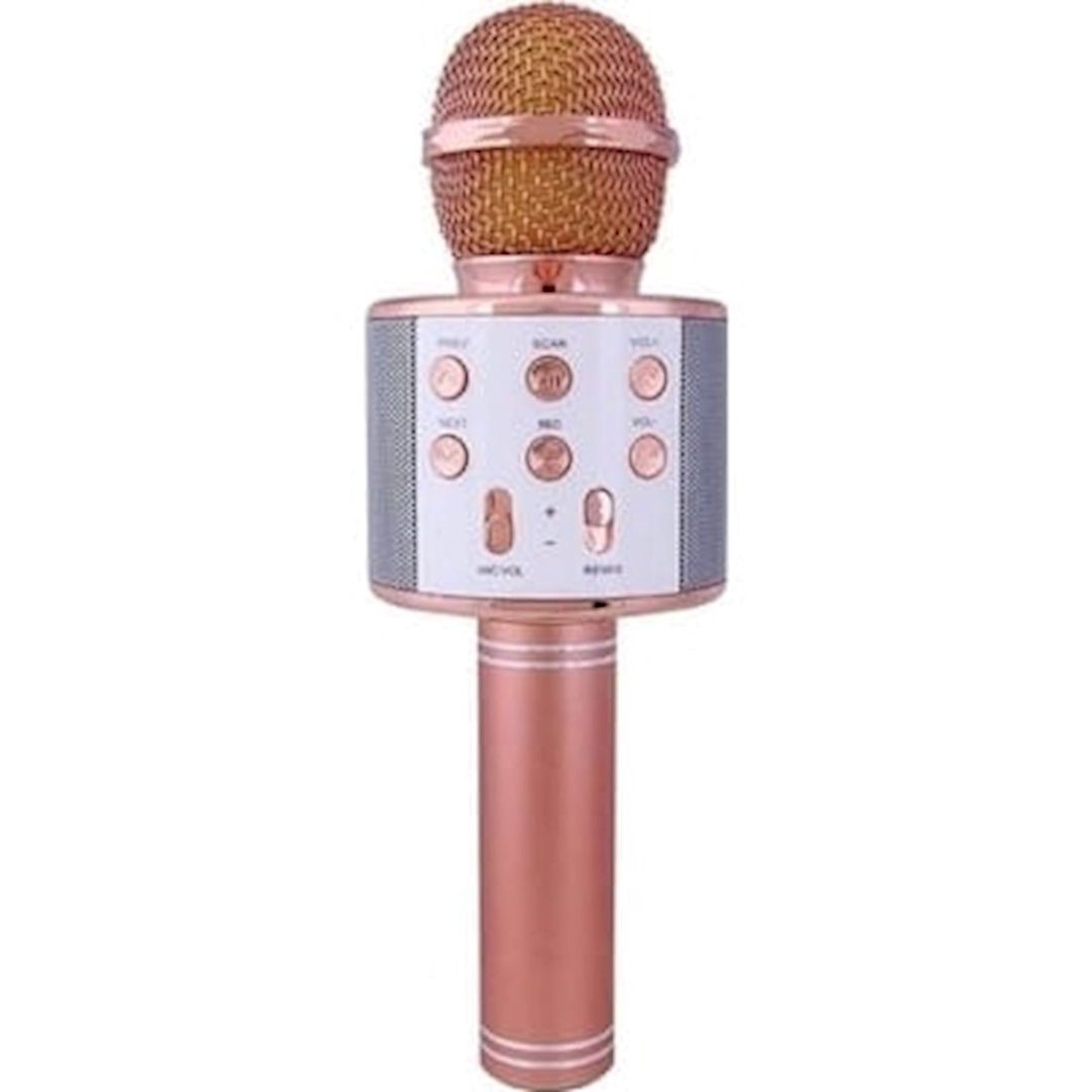 Uşaqlar üçün karaoke mikrofonu Şirinlər Toys — Mallar, Bakı (2)